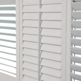[TP] Timber Painted
